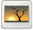 [thumbnail of lampung.png]